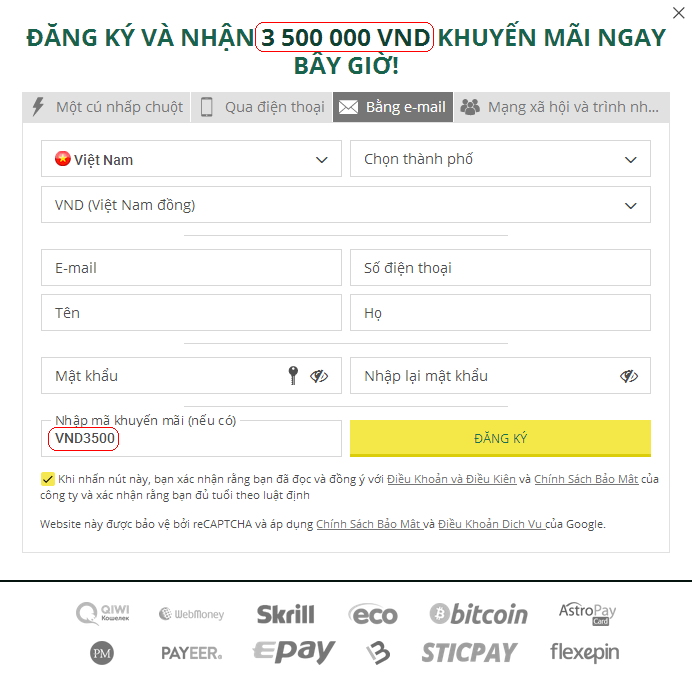 Mẫu đăng ký Việt Nam
